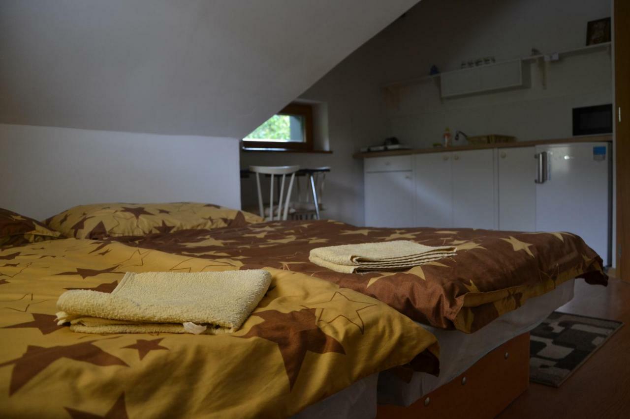 Studio Pohoda Na Razcesti Cingov Slovensky Raj Spišské Tomášovce Exteriör bild